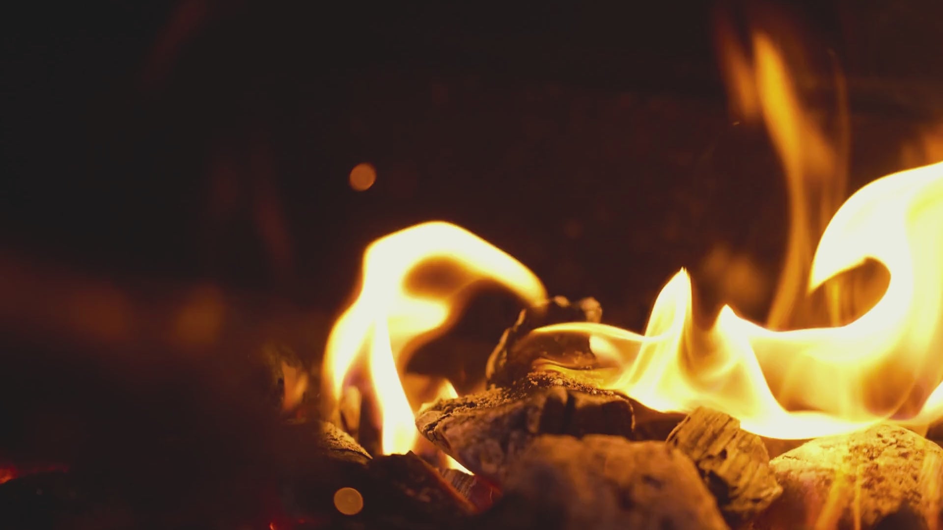 Cargar video: Preparaciones con Wagyu Tallow, Pork Lard y Hamburguesas de Wagyu cocinadas al fuego.